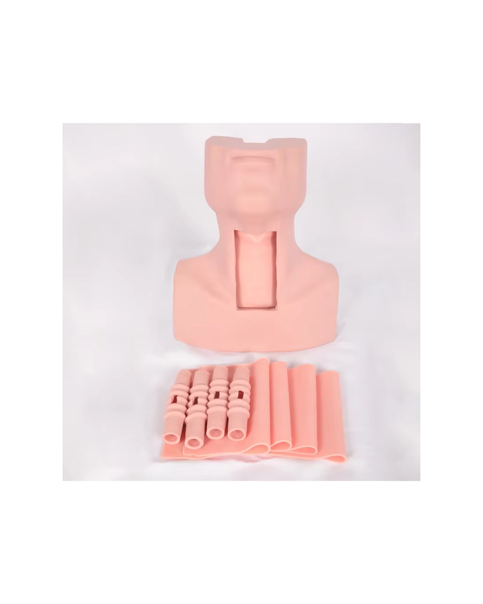 Трахеотомийн сургалтын загвар