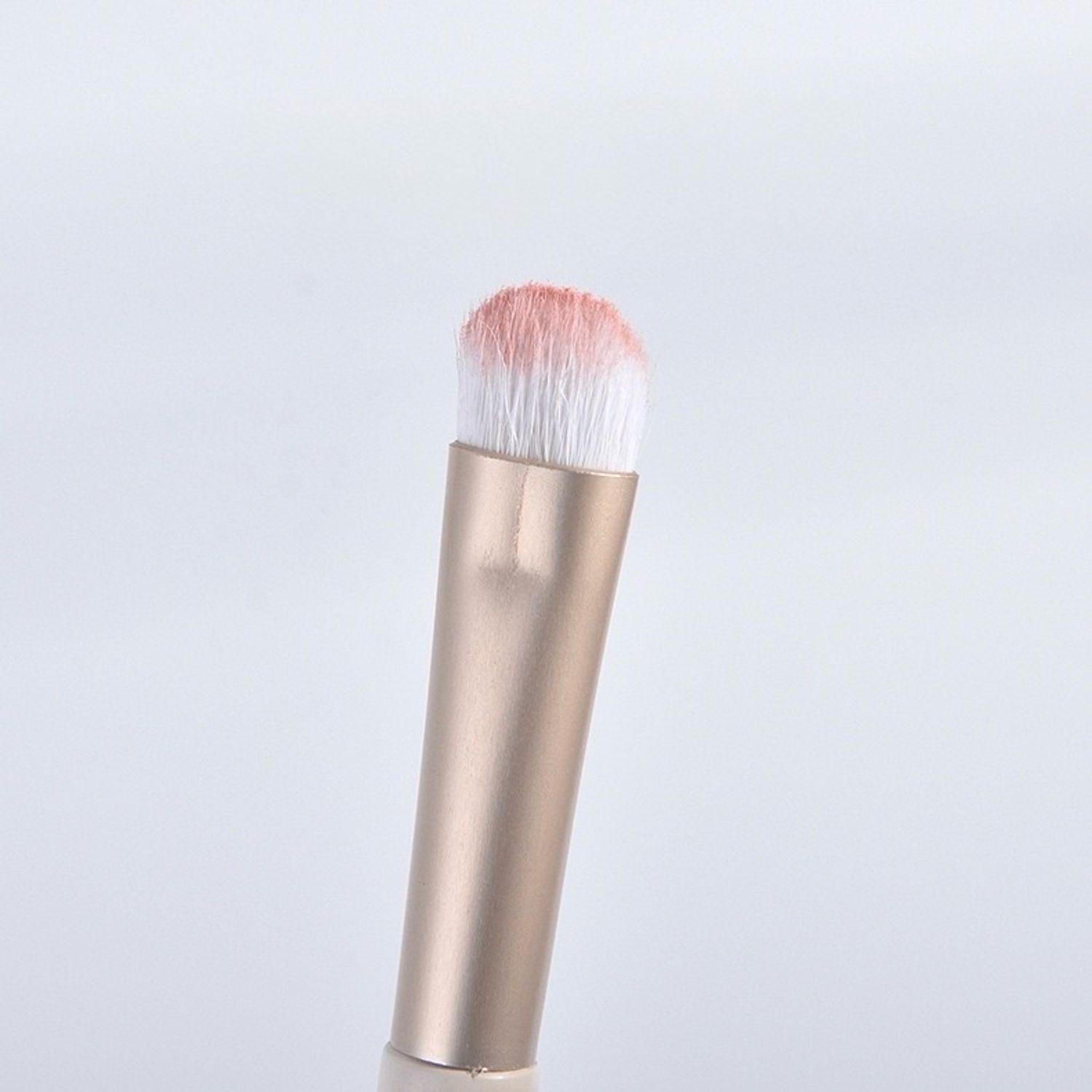 Нүүр будалтын багс 