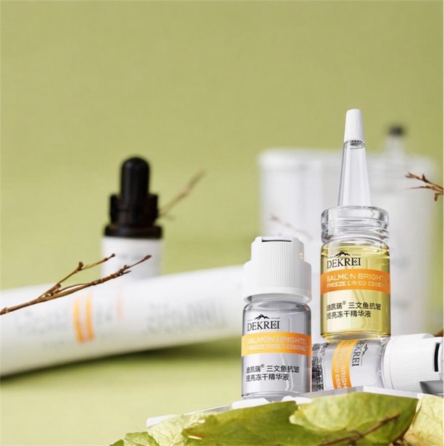 Salmon Bright Freeze-Dried Essen