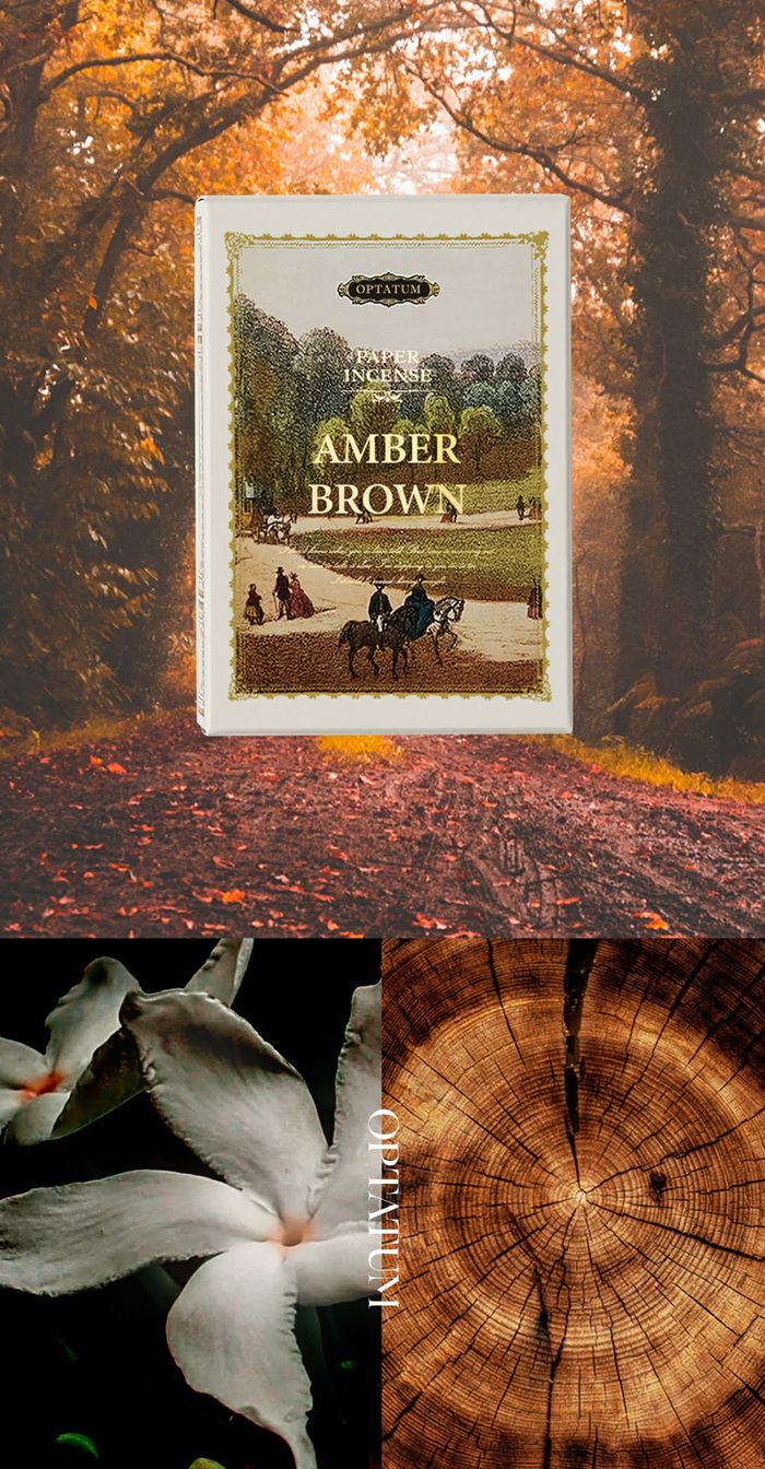 AMBER BROWN