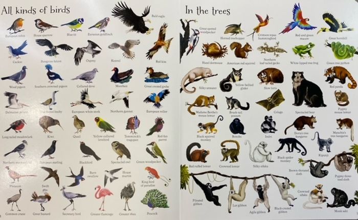 Usborne "1000 animals"