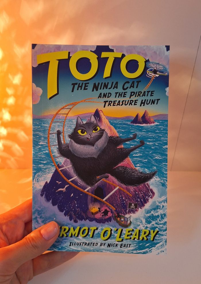 Toto the Ninja Cat