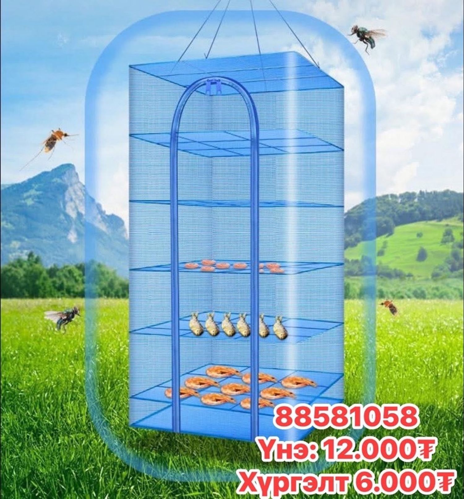 Ааруул хатаагч Цэнхэр 5давхар