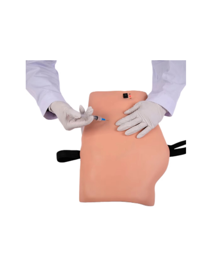 Электрон өгзөгний тарианы загвар