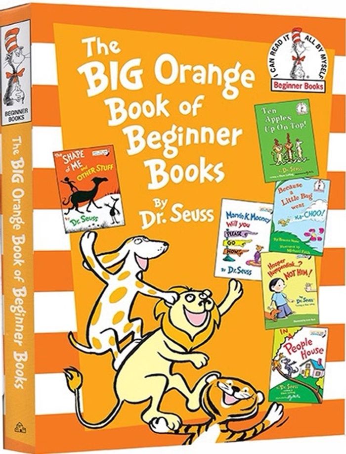 The BIG ORANGE BOOK for beginner books