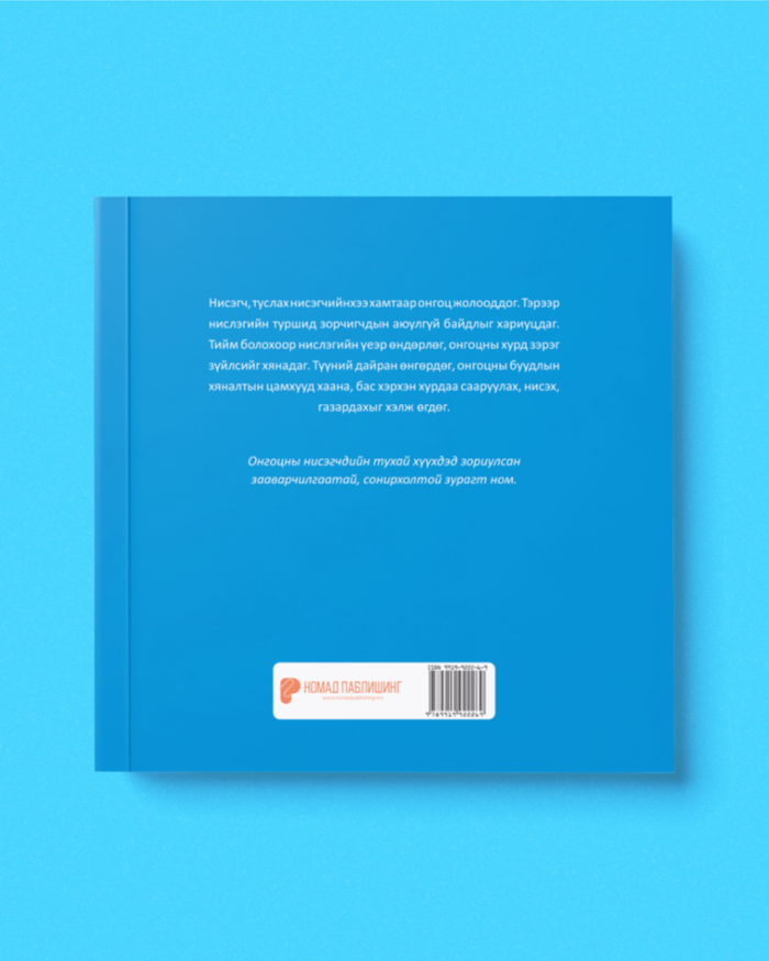 Нисэгчид юу хийдэг вэ?