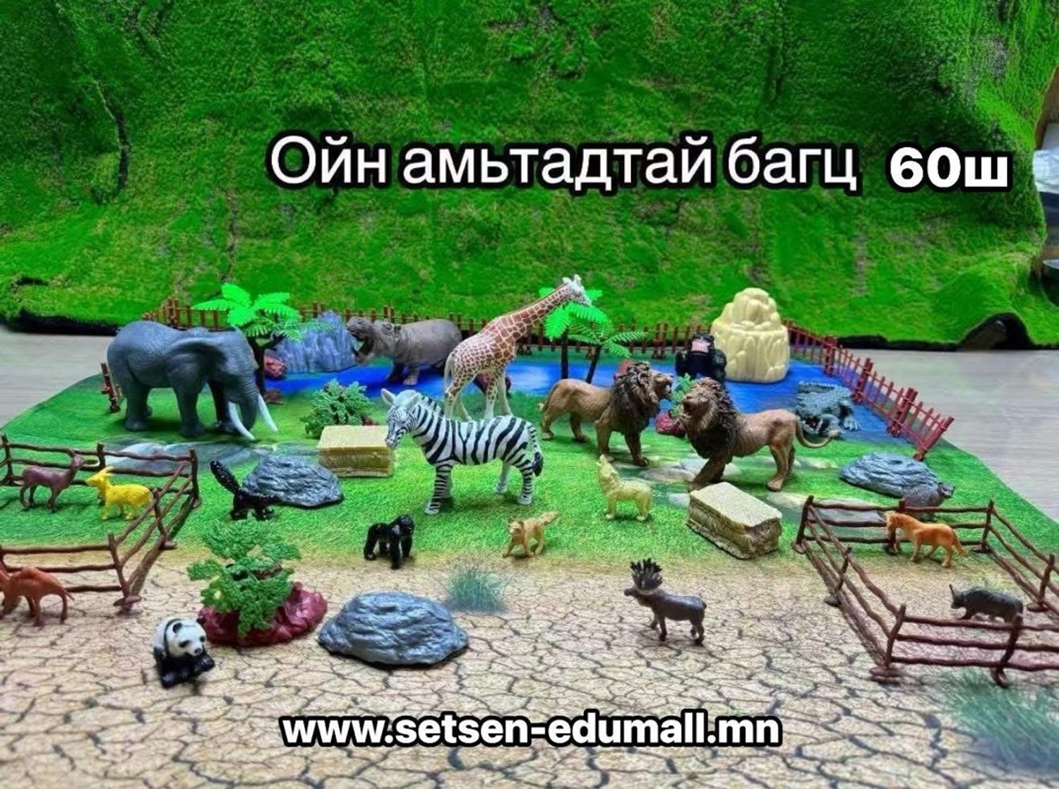 Ойн амьтад 60ш ком