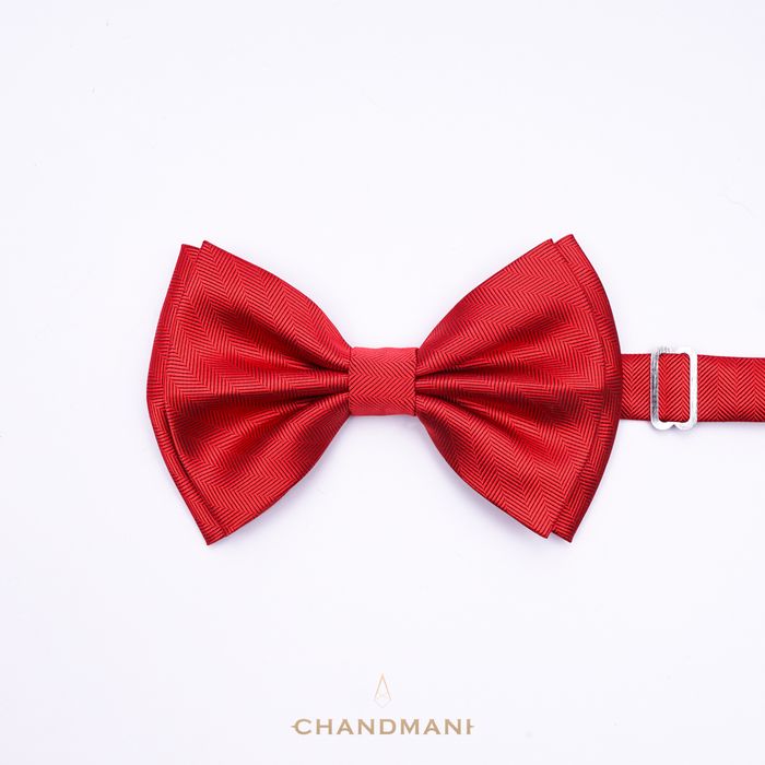 Эрвээхэй зангиа