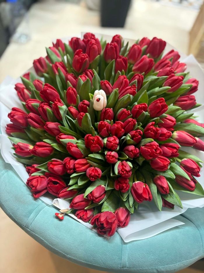 Голланд алтанзул 