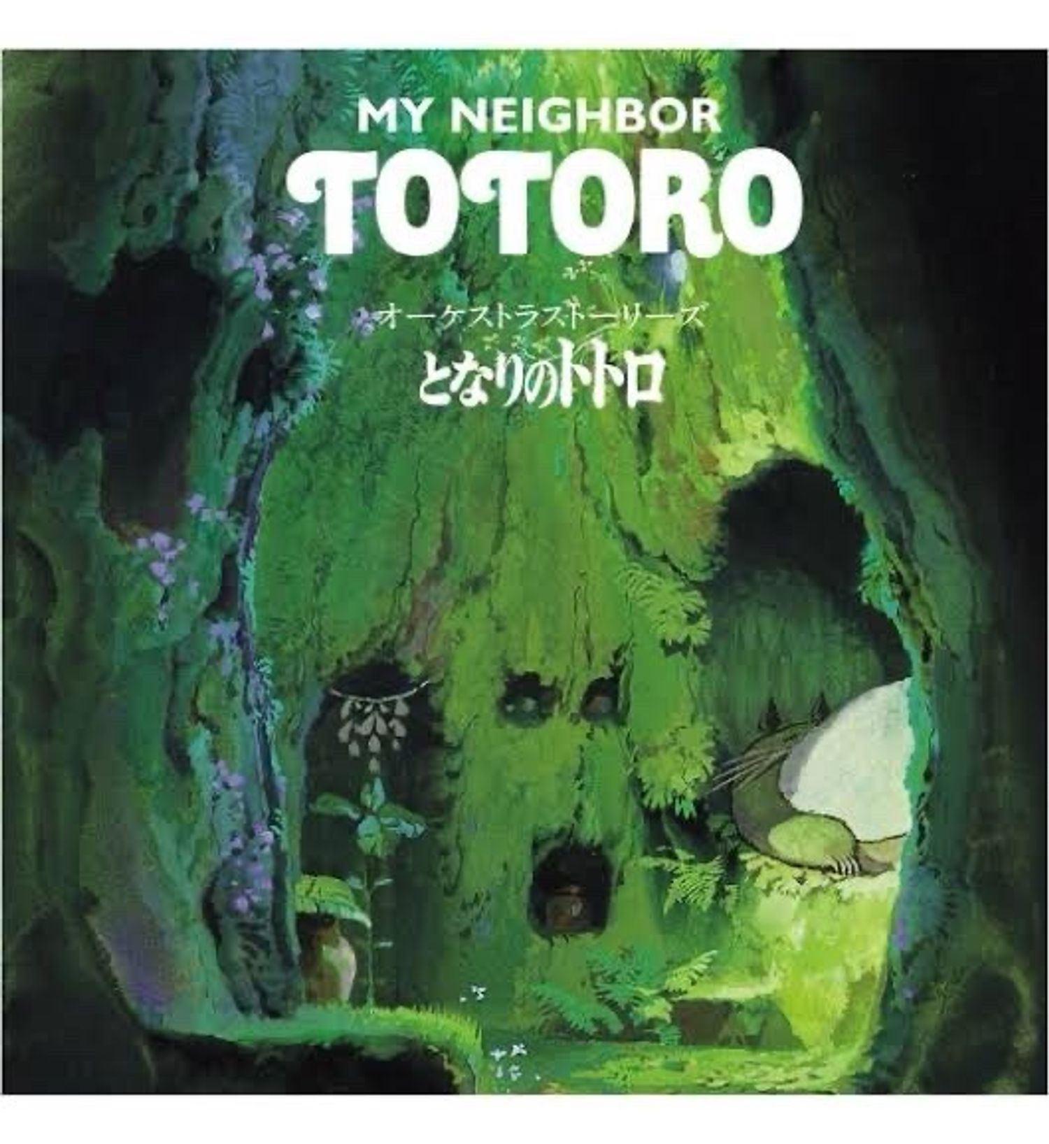 Studio Ghibli -  Totoro