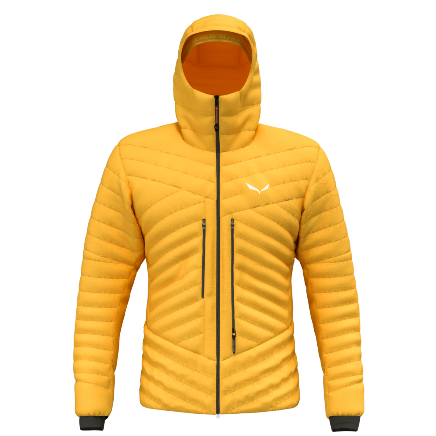 Salewa | Ortles RDS Hybrid | Insulated | Men