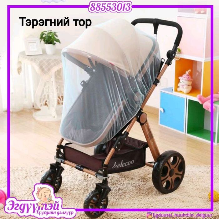 Тэрэгний тор