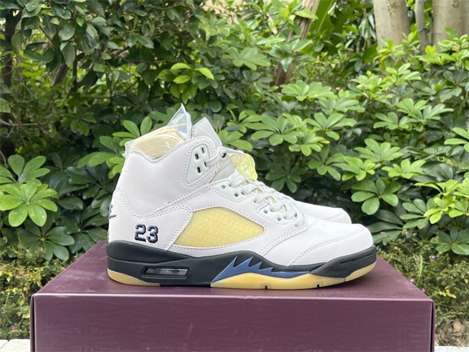 Jordan 5 Retro A Ma Maniére Dawn (Women's)