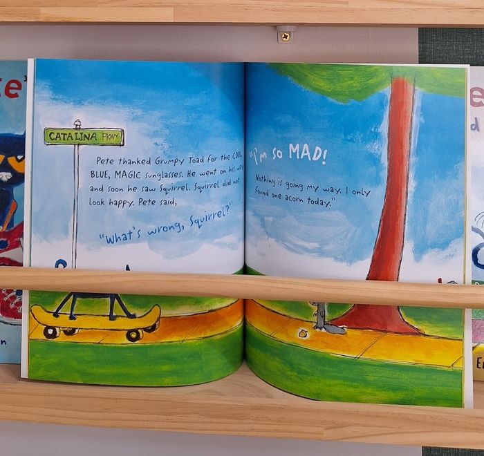 Pete the Cat and His Magic Sunglasses 