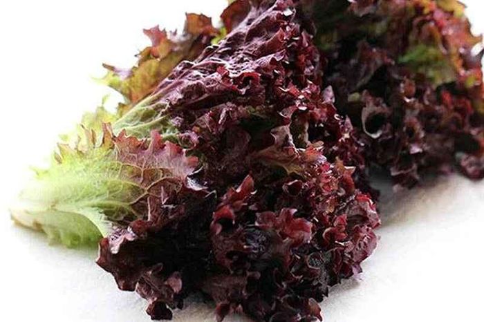 Ягаан салад навч