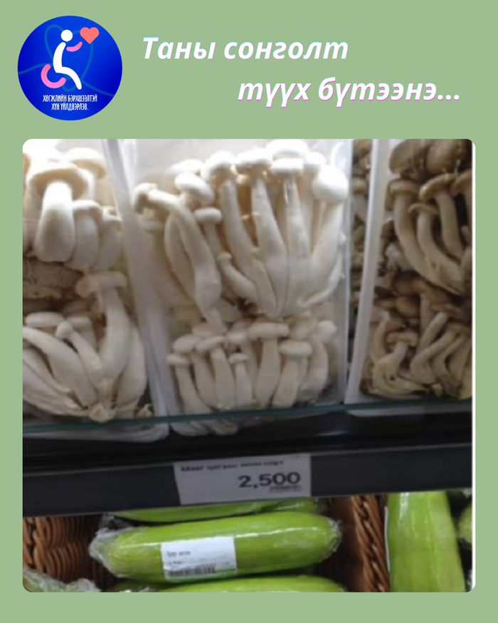 Мөөг үйлдвэрлэл