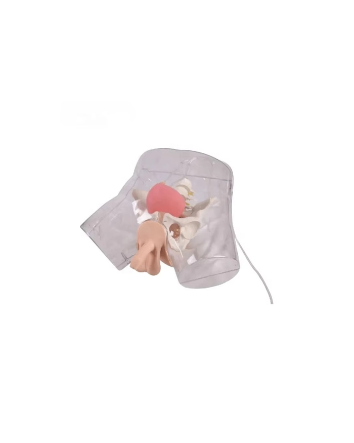 Эрэгтэй катетерын тунгалаг загвар