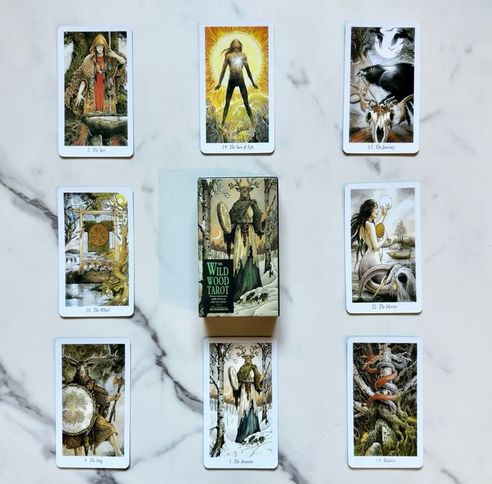The Wild Wood Tarot