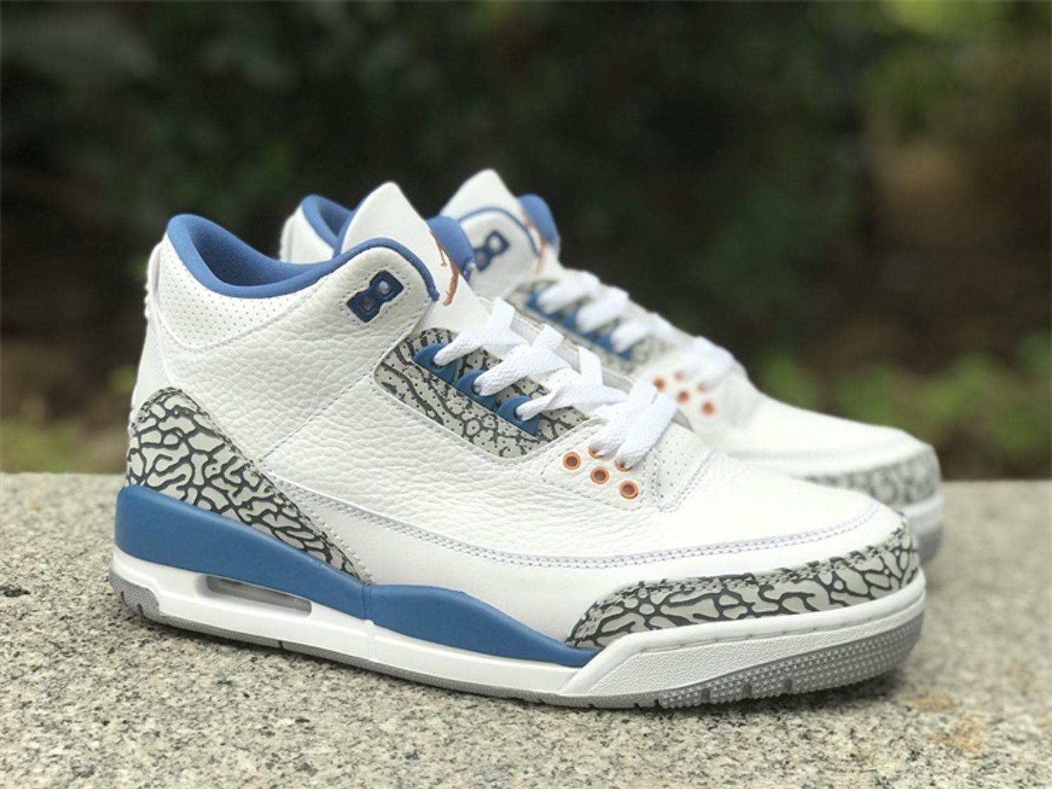 Air Jordan 3 “Wizards”