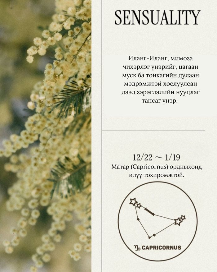 Perfume Hand Cream 50ml Sensuality