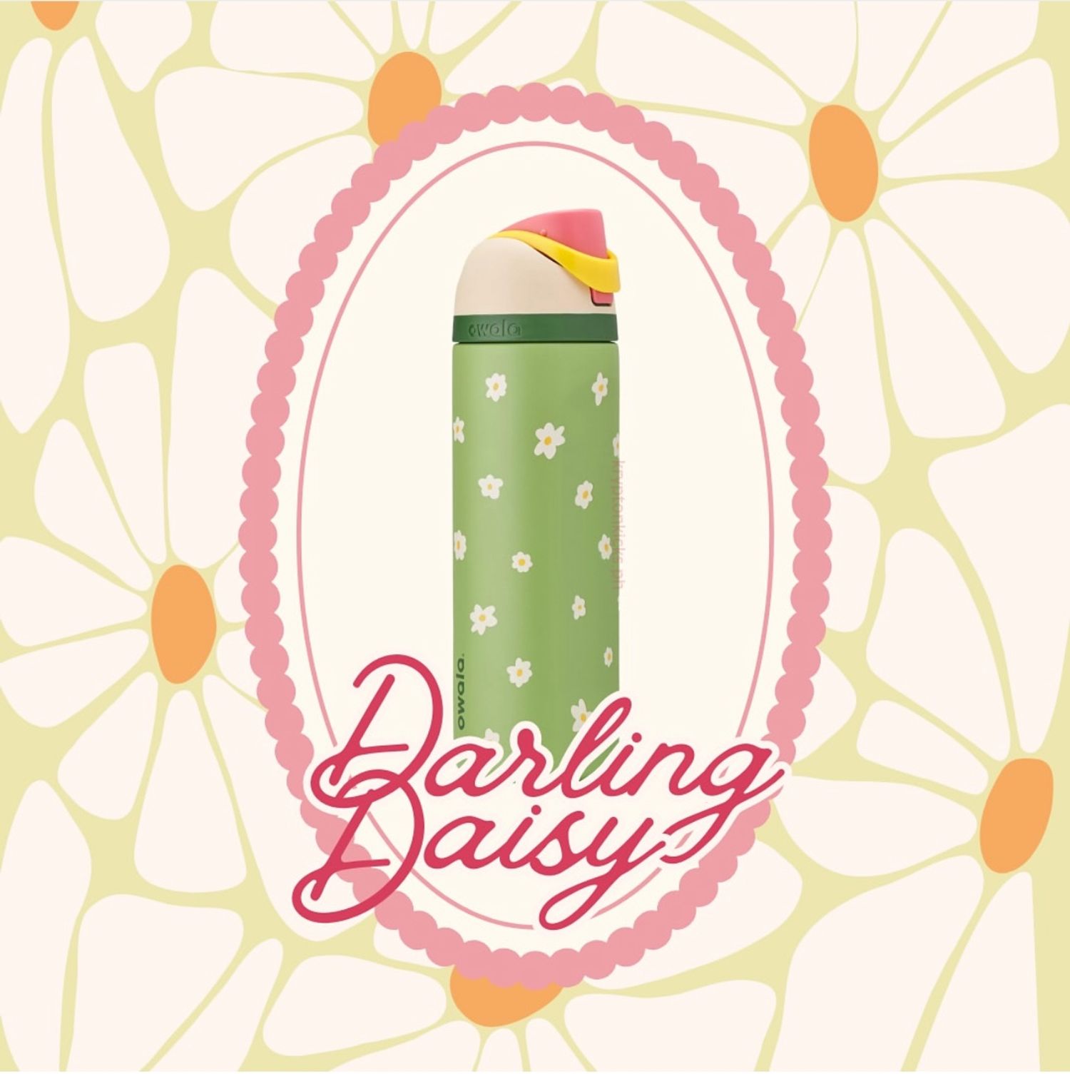 Darling Daisy 