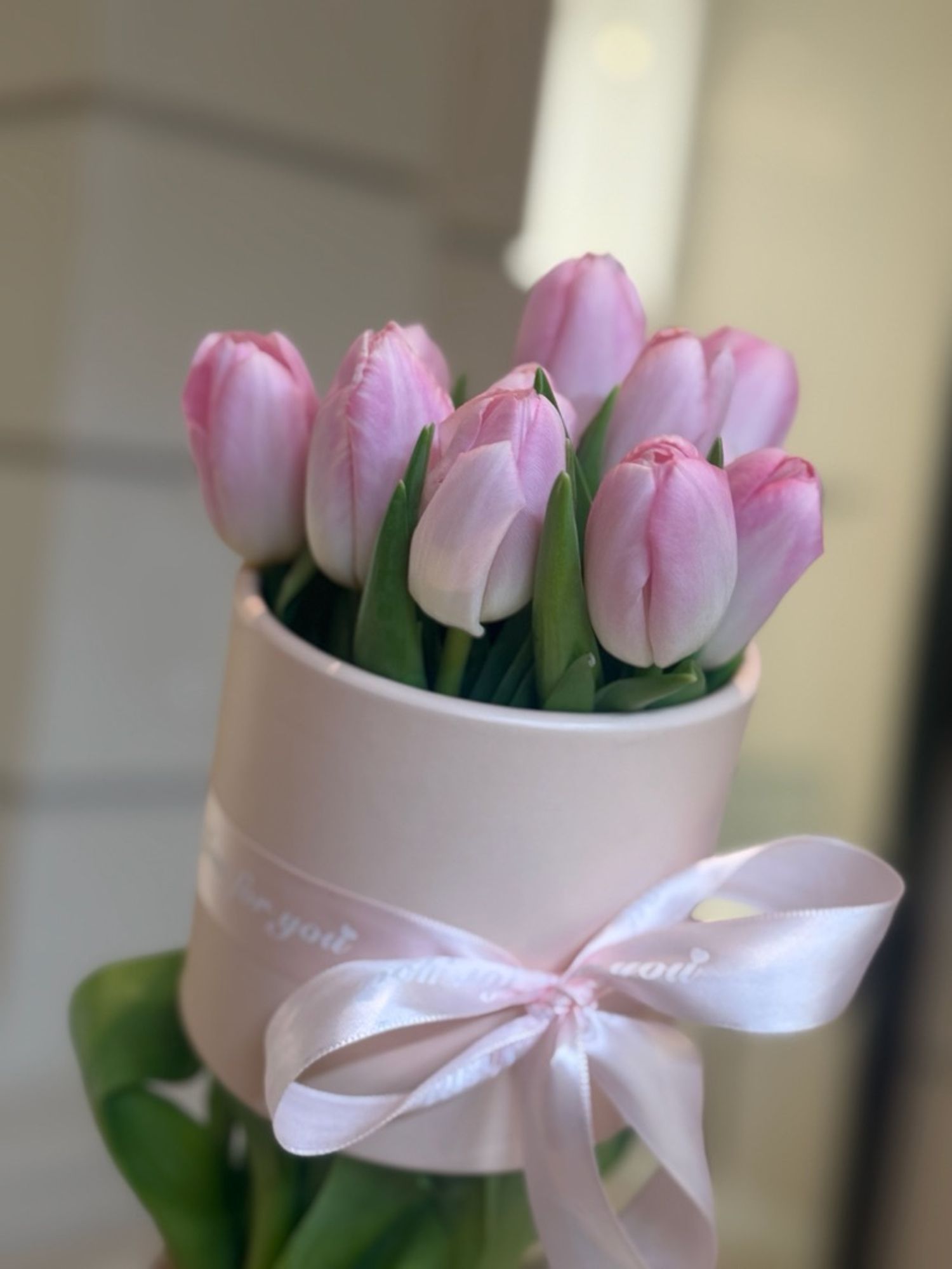 Голланд алтанзул савтаы