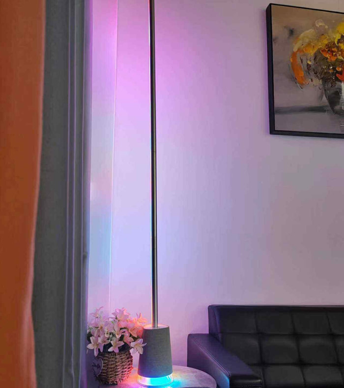 Dream Color Floor Light 2