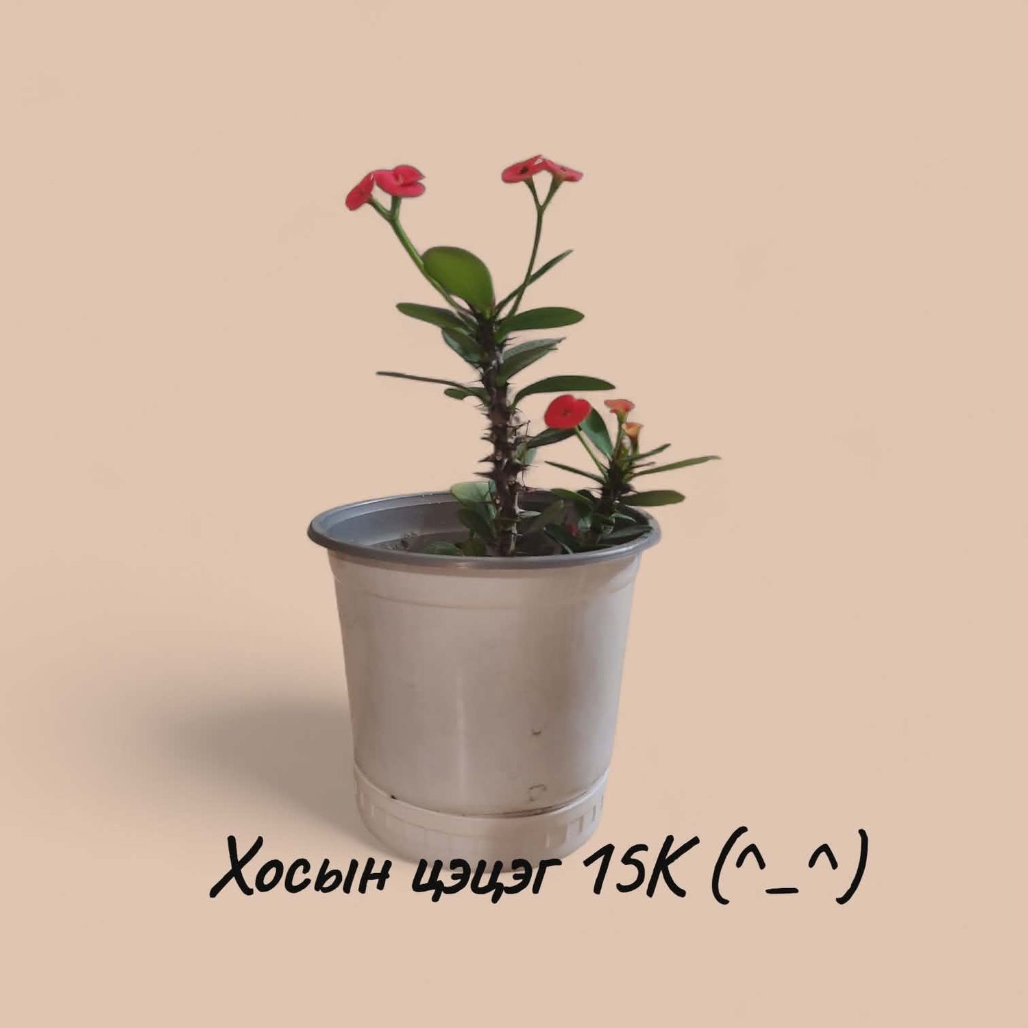 Хосын цэцэг