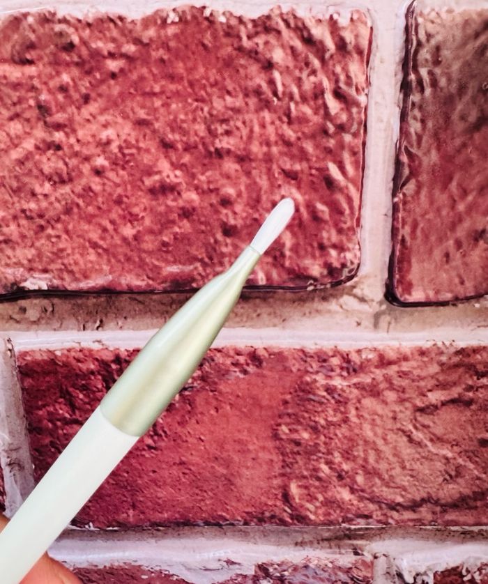 Нүүр будалтын багс 