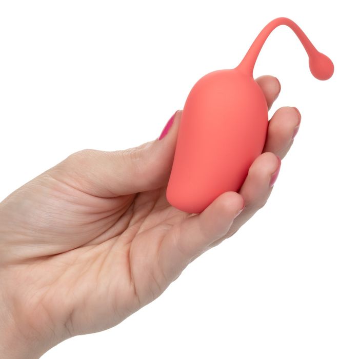 CalExotics -  Kegel Training Set Mango