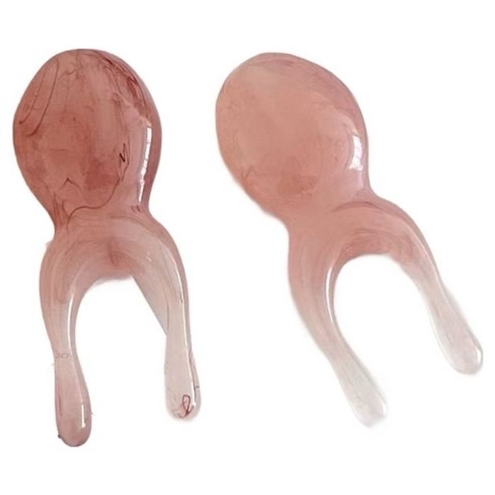 Нүүрний гуаша 