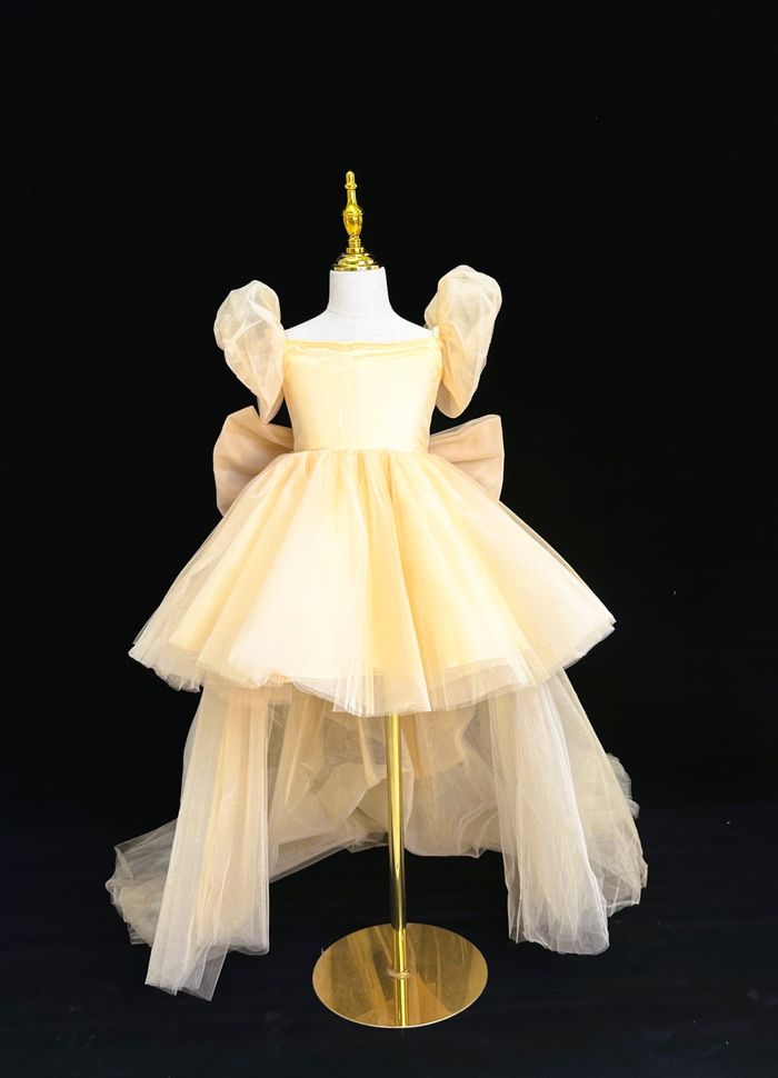 Бор шаргал урт хормойтой даашинз