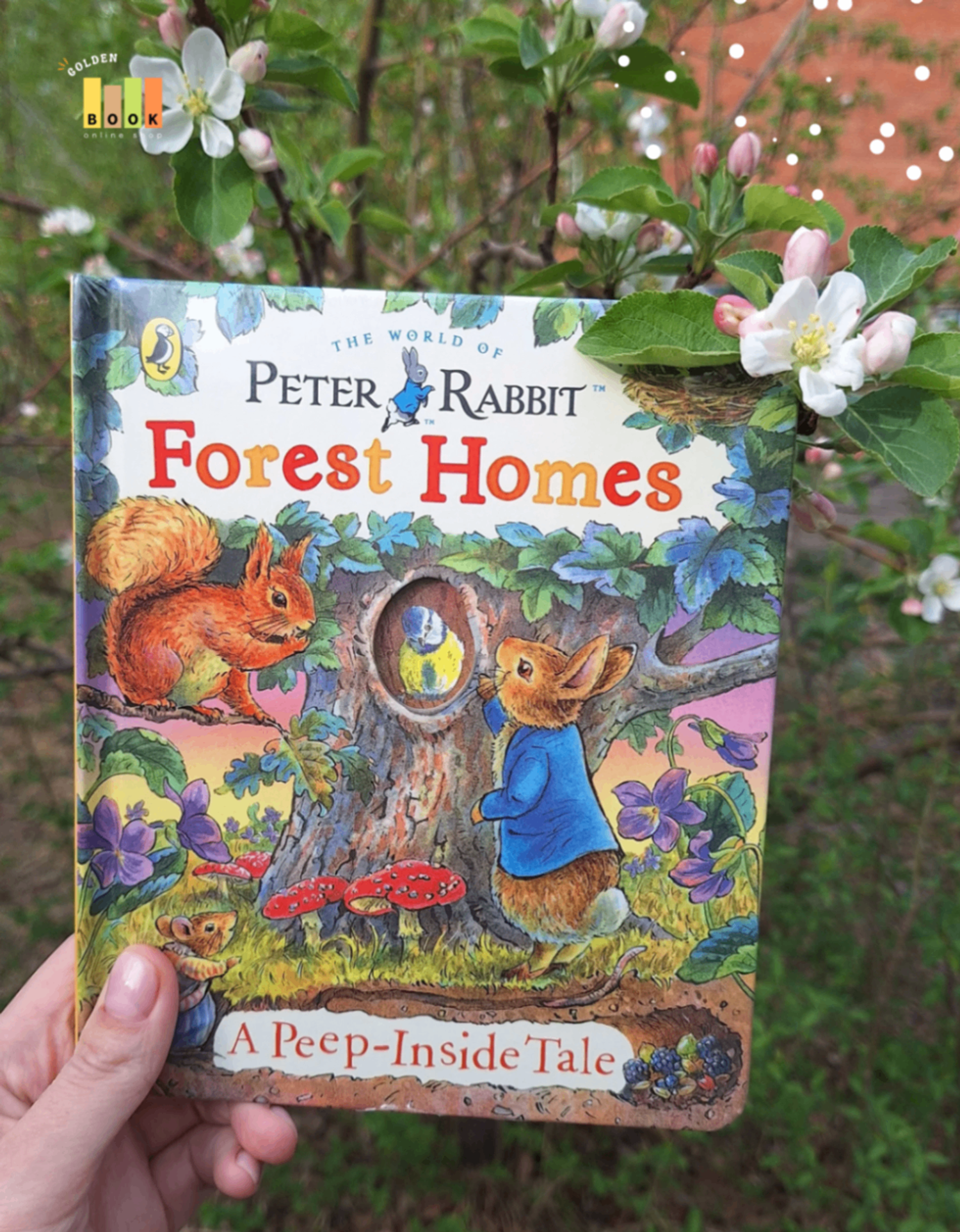 Peter Rabbit: Forest Homes A Peep-Inside Tale