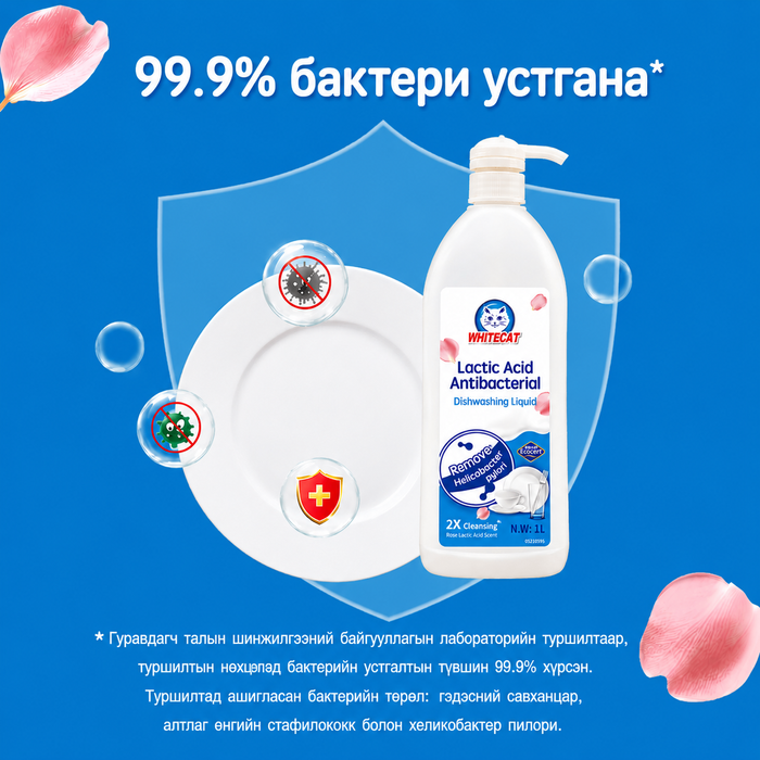 АЯГА ТАВАГ УГААГЧ ШИНГЭН