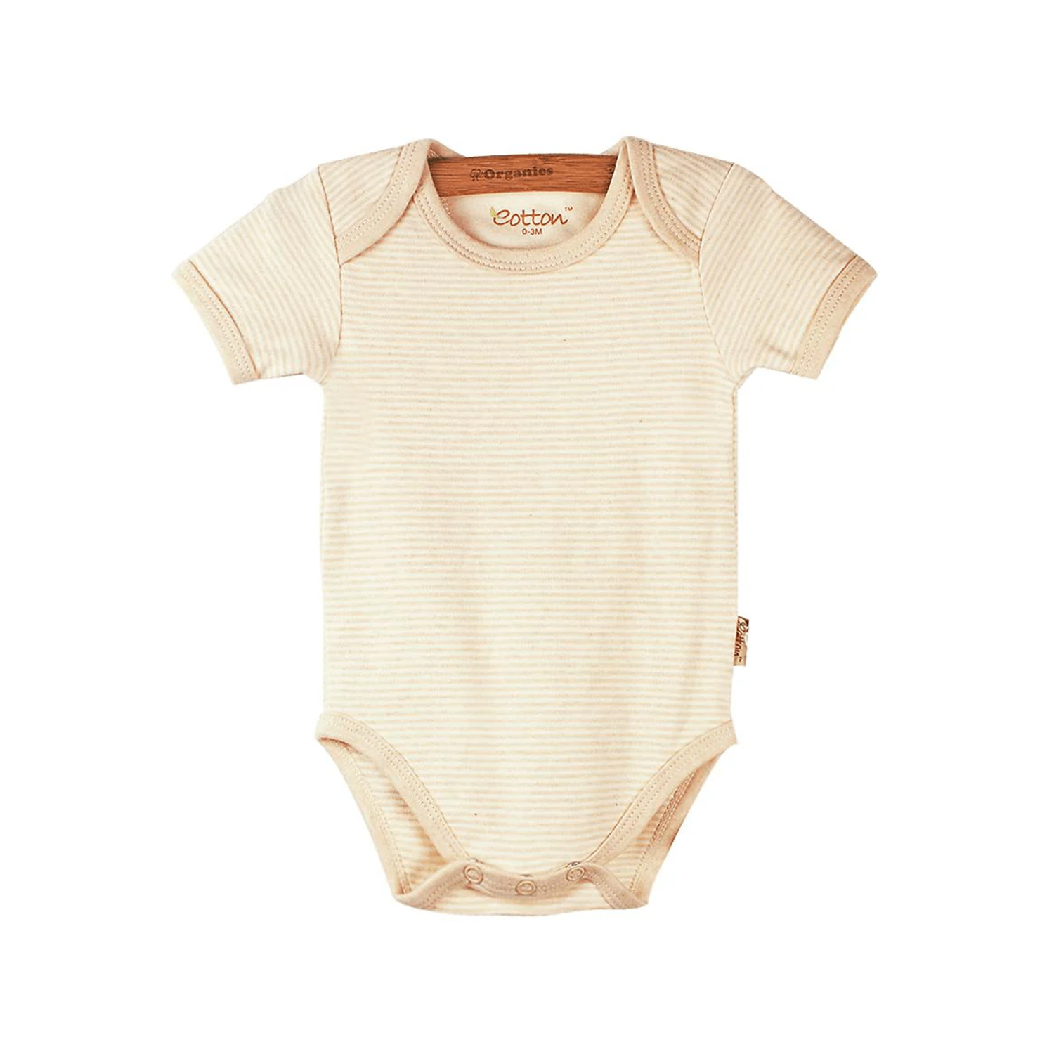 Богино боди