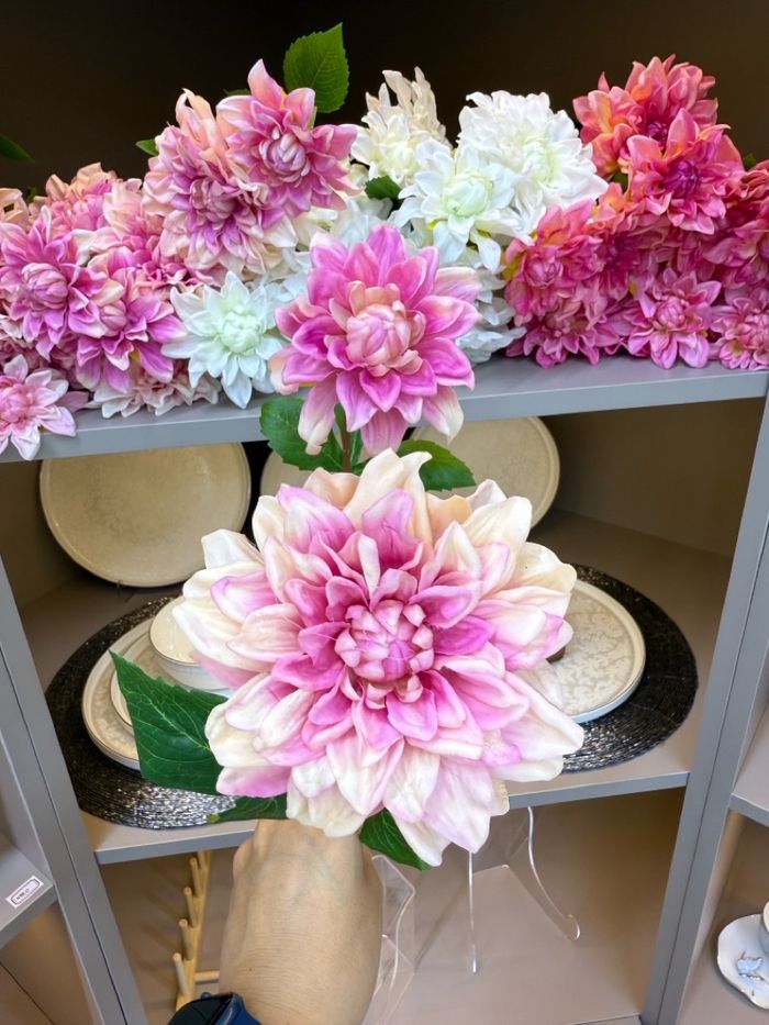 хиймэл мандарваа