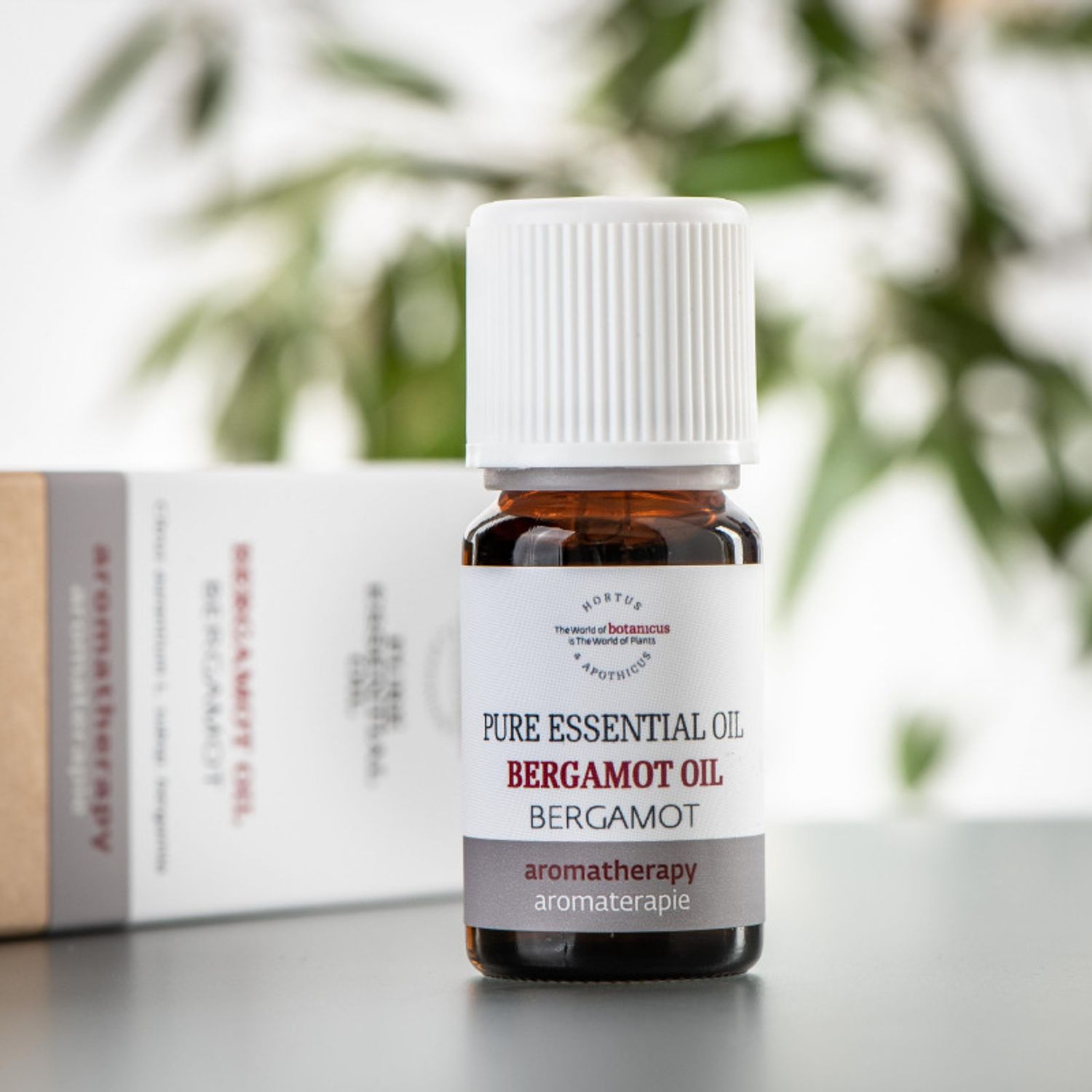 Жүржийн мод (Bergamot) 