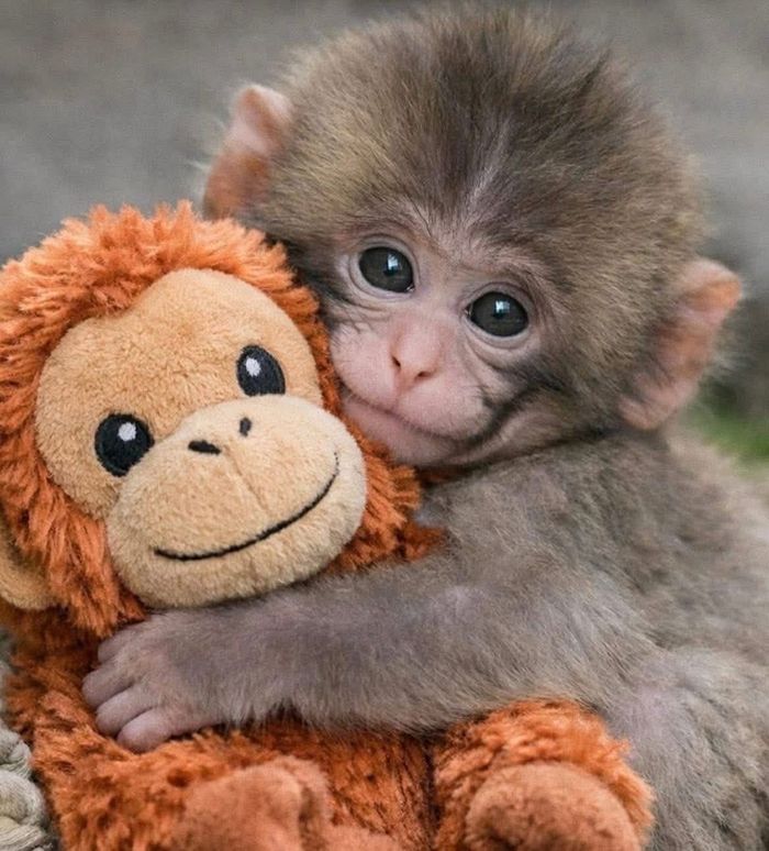 Чихмэл тоглоом 