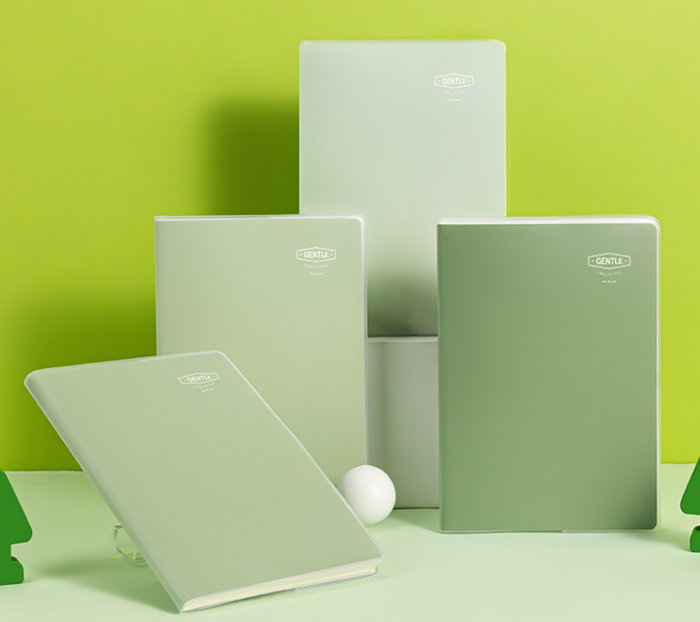  Тэмдэглэлийн дэвтэр А5 DL T3260