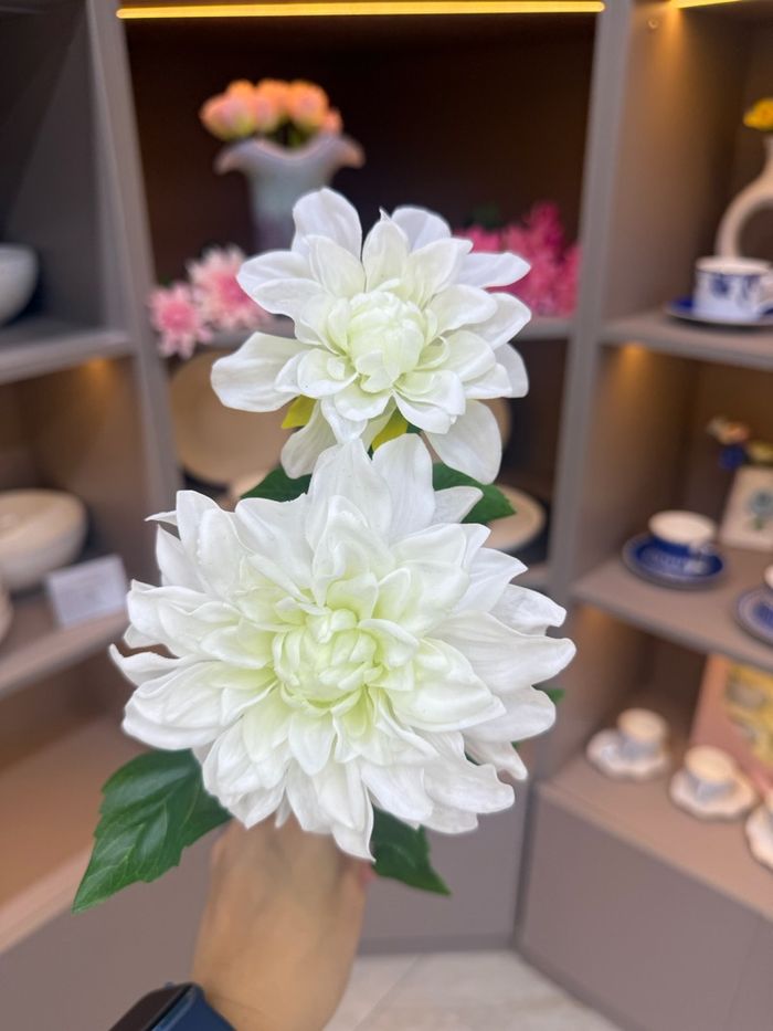 хиймэл мандарваа