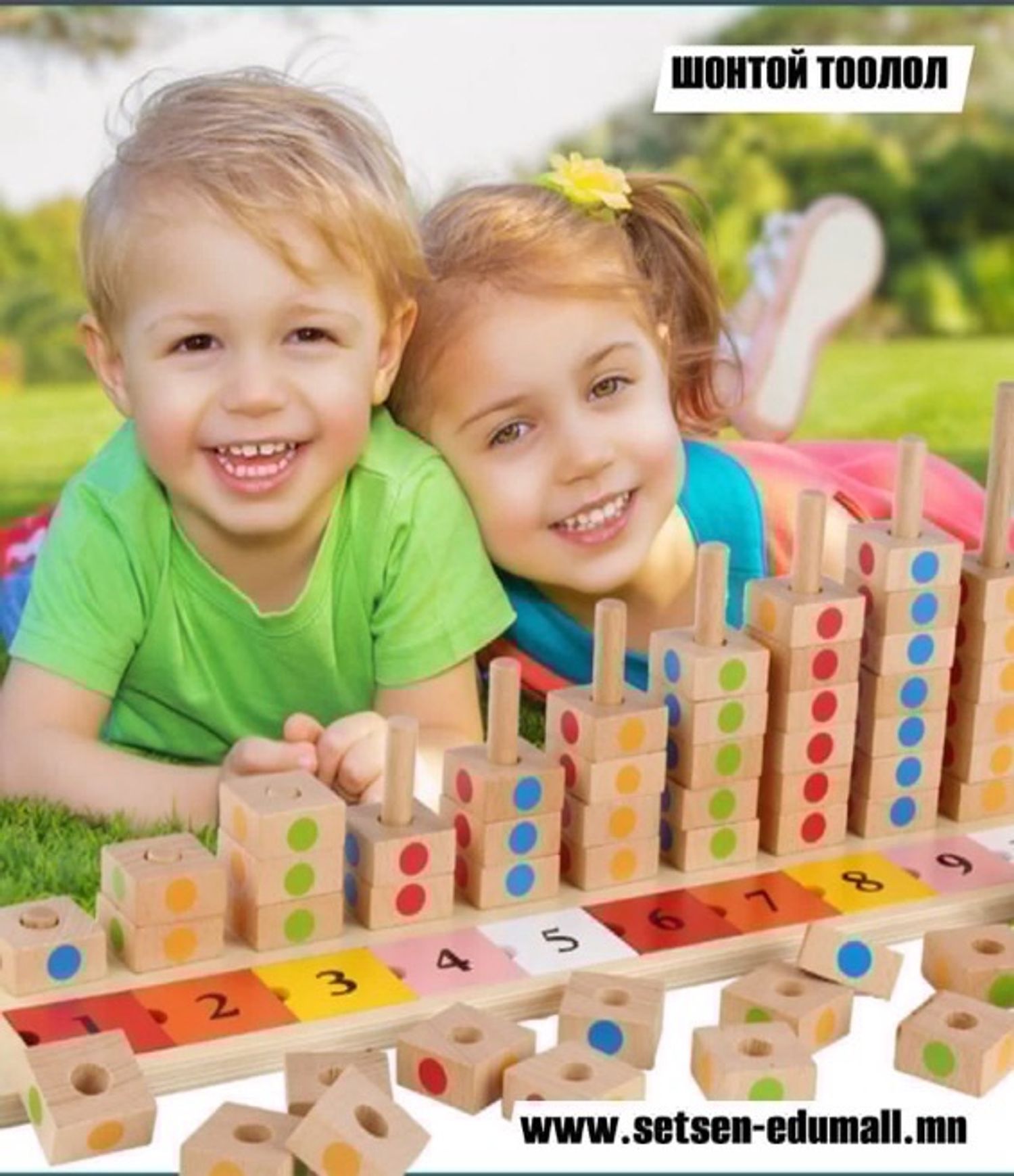 Шонтой тоолол