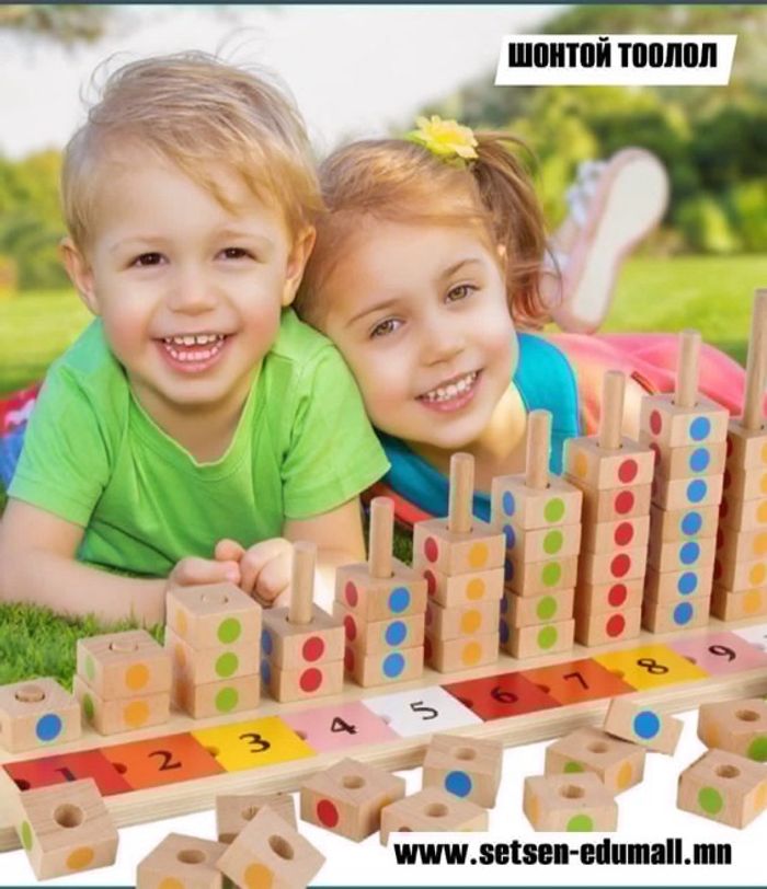 Шонтой тоолол