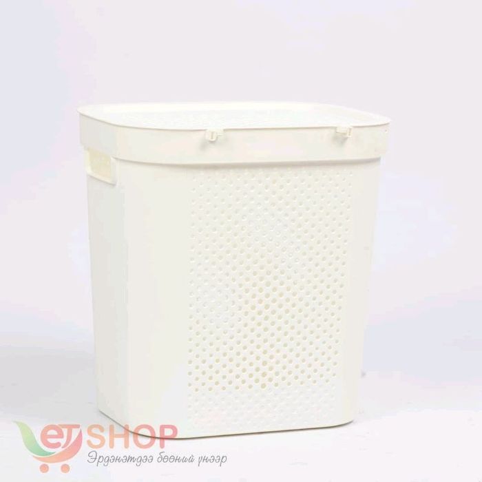 Тагтай сагс (дунд)