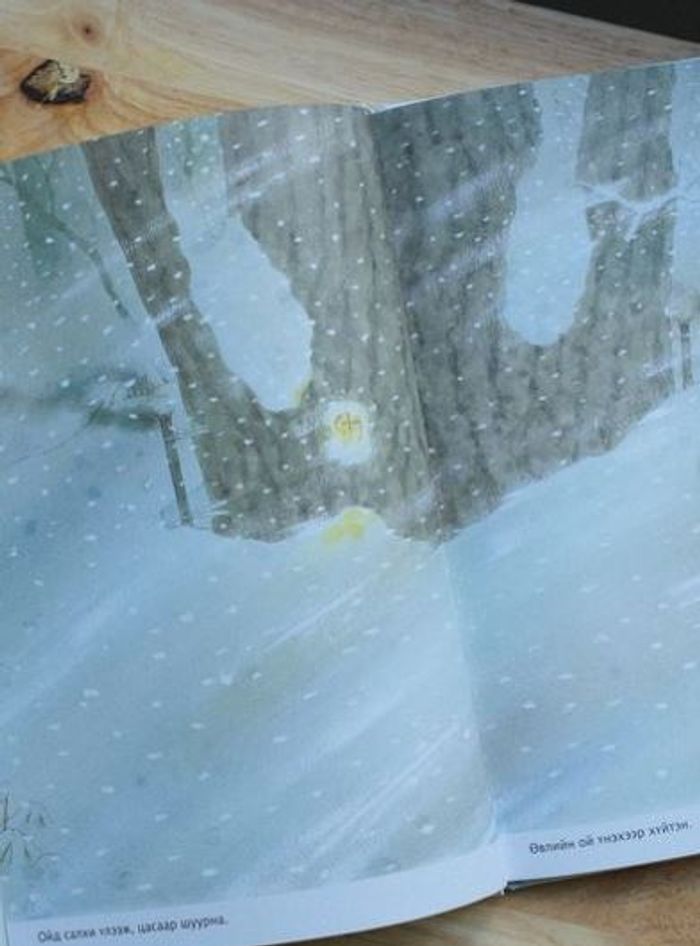 Ойн 14 хулгана ӨВЛИЙН НЭГ ӨДӨР