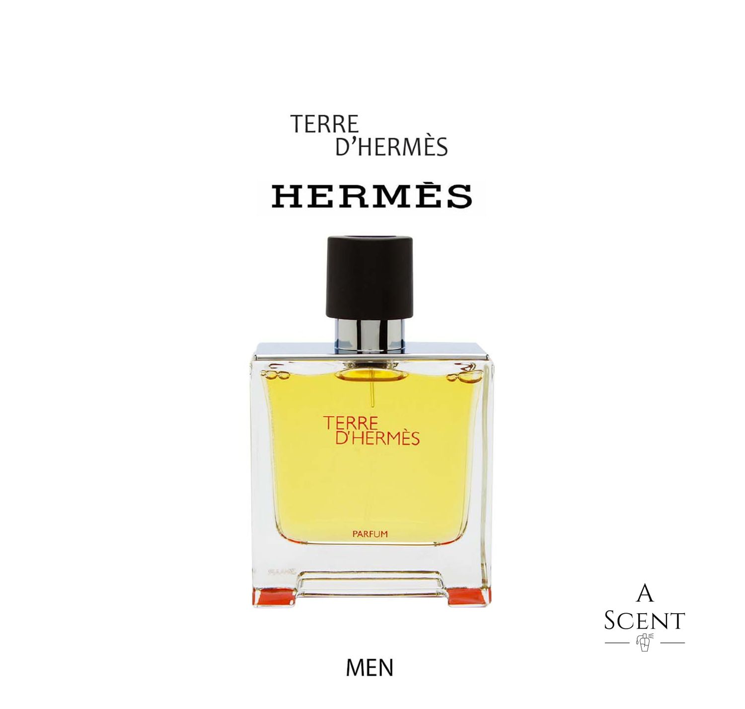 TERRE D'HERMES