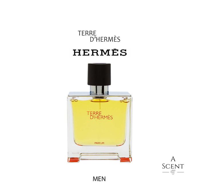 TERRE D'HERMES