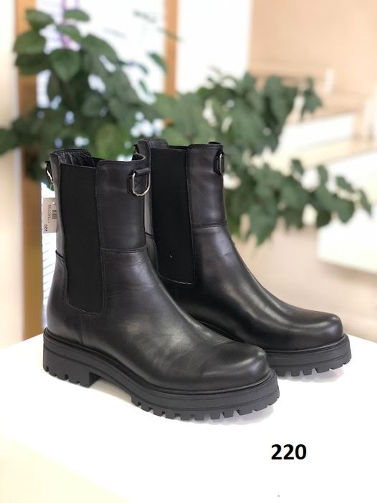 Турк pol /# 220 /