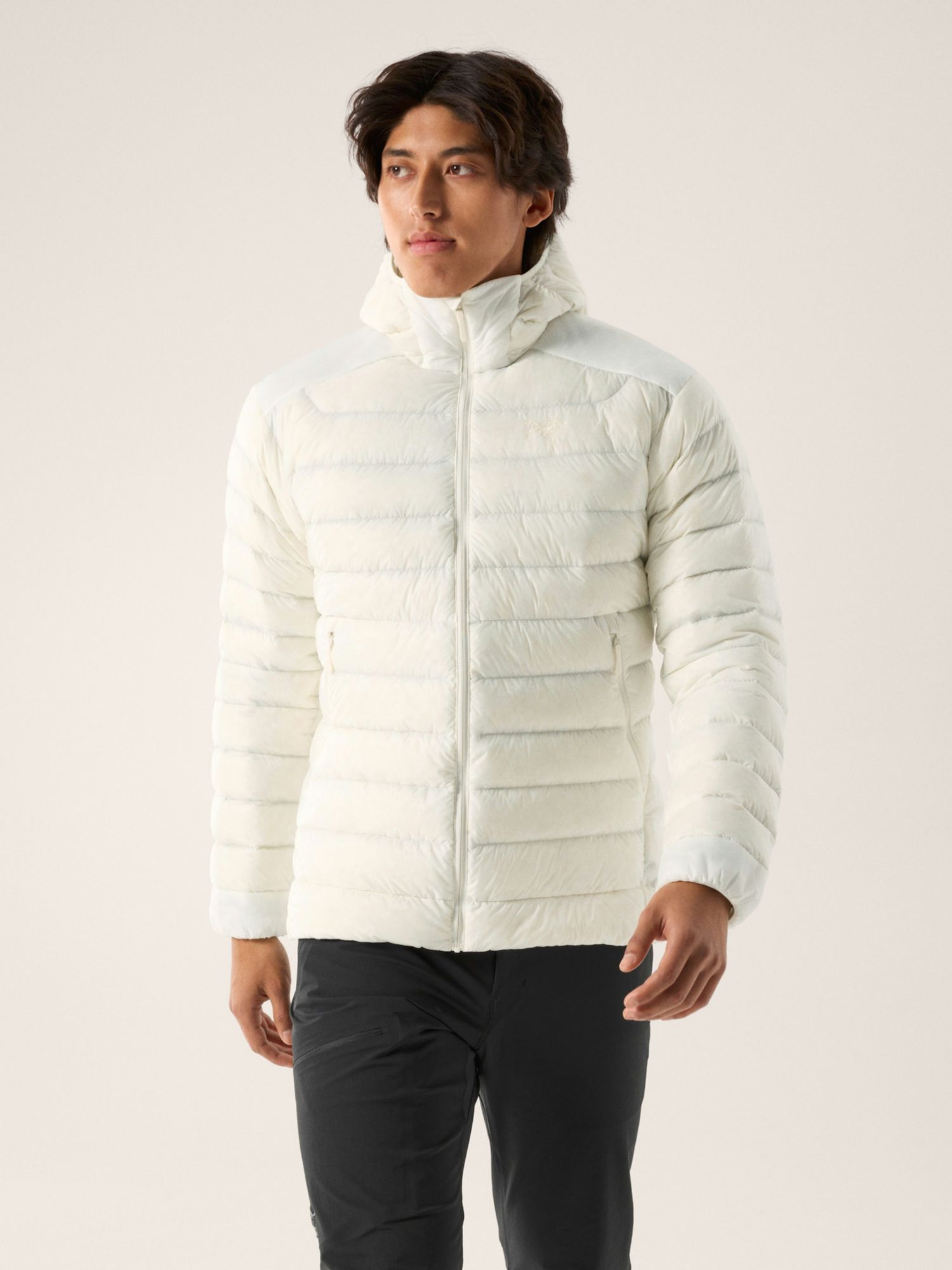 Arc'teryx | Winter | Cerium Hoody | Insulated | Men's  