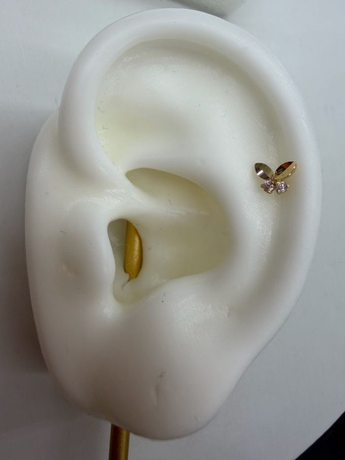 6mm Эрвээхэй монет piercing