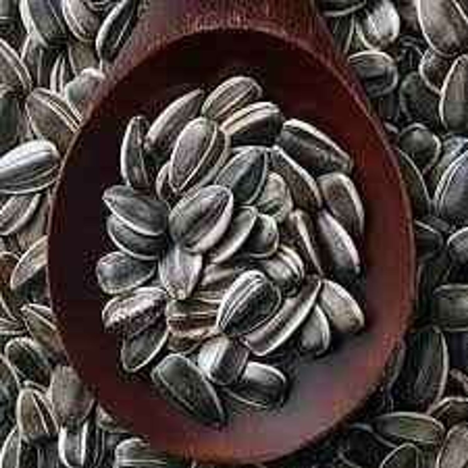 Наранцэцгийн самар / 5кг * 5ш /